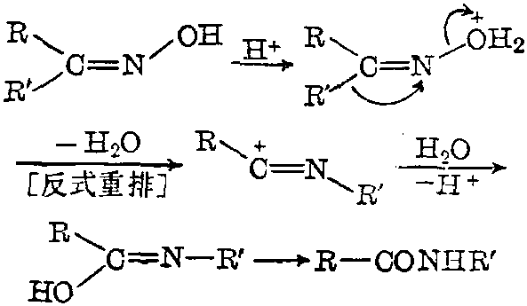 酰胺化